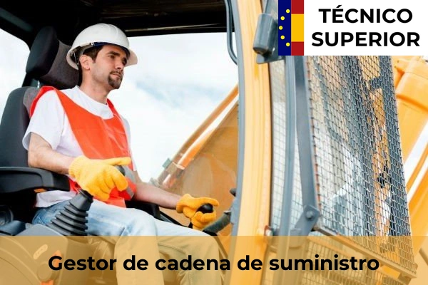Empleado en empresas transitarias, navieras o agencias de aduanas 65 Gestor de cadena de suministro