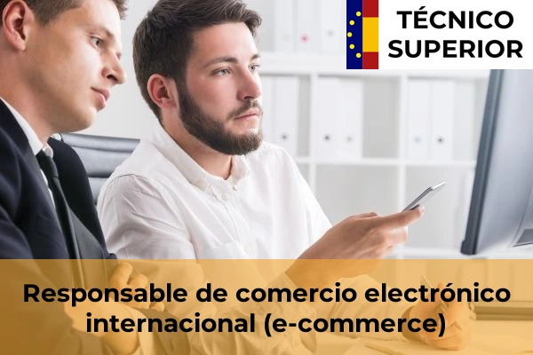 Empleado en empresas transitarias, navieras o agencias de aduanas 71 Responsable de comercio electrónico internacional (e-commerce)