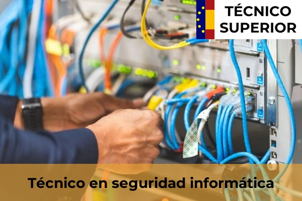 Técnico en seguridad informática