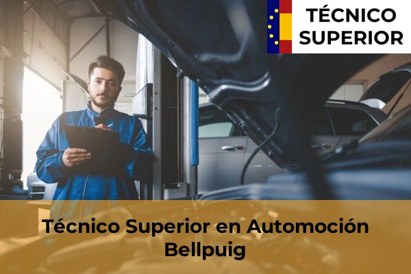 Técnico Superior en Automoción en Les Borges Blanques 9 Técnico Superior en Automoción en Bellpuig