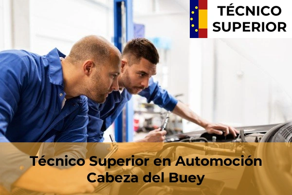 Técnico Superior en Automoción en Valdivia 7 Técnico Superior en Automoción en Cabeza del Buey