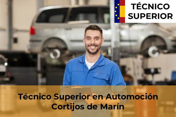 Técnico Superior en Automoción en Roquetas de Mar 16 Técnico Superior en Automoción en Cortijos de Marín