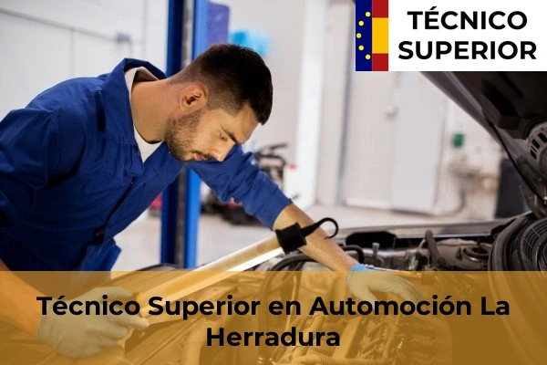 Técnico Superior en Automoción en La Herradura