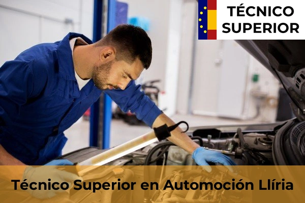 Técnico Superior en Automoción en Llíria