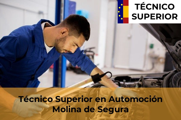Técnico Superior en Automoción en la provincia de Murcia 54 Técnico Superior en Automoción en Molina de Segura