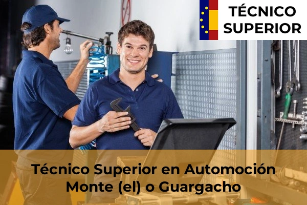 Técnico Superior en Automoción en Monte (el) o Guargacho