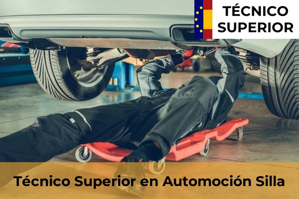 Técnico Superior en Automoción en Silla
