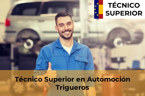 Técnico Superior en Automoción en Trigueros