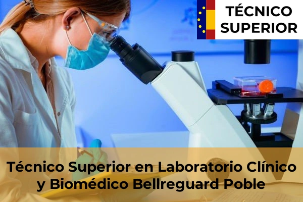 Técnico Superior en Laboratorio Clínico y Biomédico en San Antonio de Benagéber 36 Técnico Superior en Laboratorio Clínico y Biomédico en Bellreguard Poble