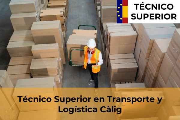 Técnico Superior en Transporte y Logística en Càlig