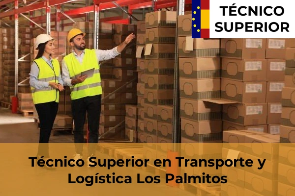 Técnico Superior en Transporte y Logística en Playa de Melenara 21 Técnico Superior en Transporte y Logística en Los Palmitos