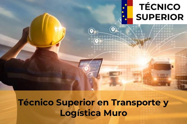 Técnico Superior en Transporte y Logística en Porto Cristo 28 Técnico Superior en Transporte y Logística en Muro